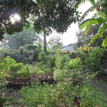 Bhumi Hostel Yogyakarta Exterior photo