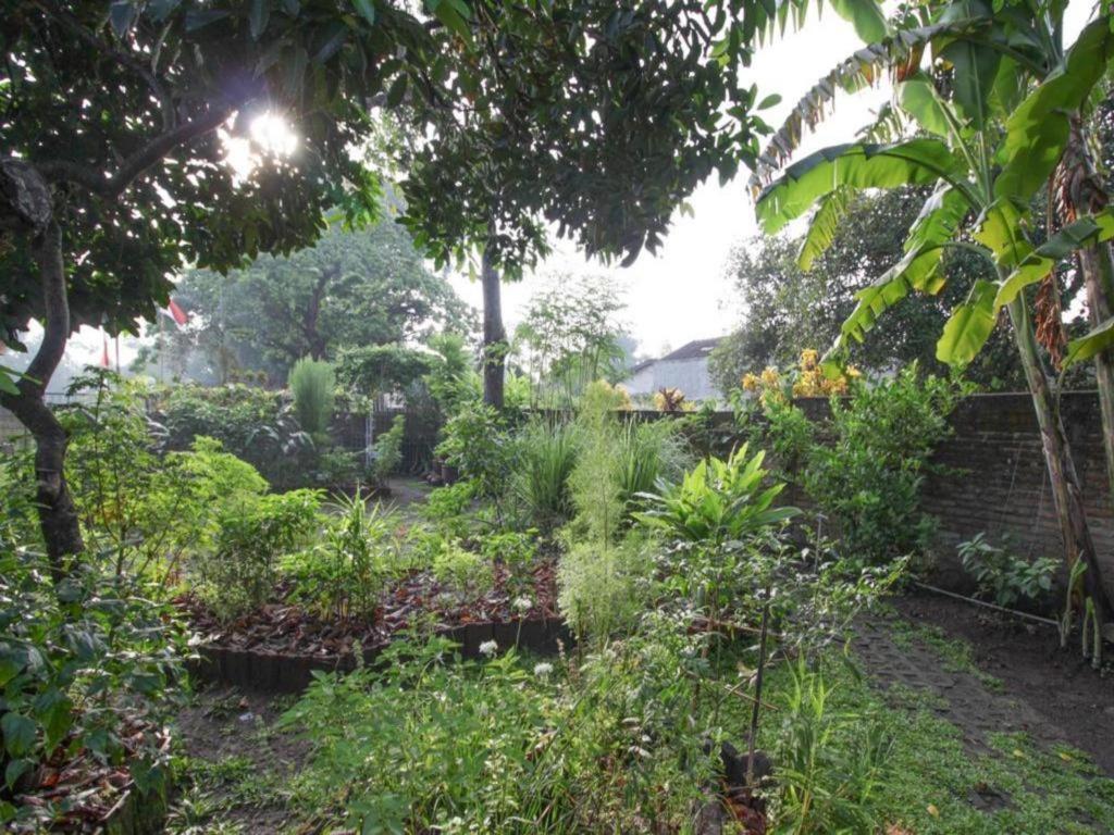 Bhumi Hostel Yogyakarta Exterior photo